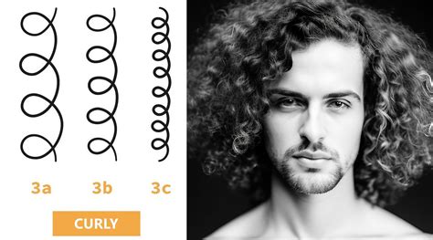 3b hair men|3b hair type chart.